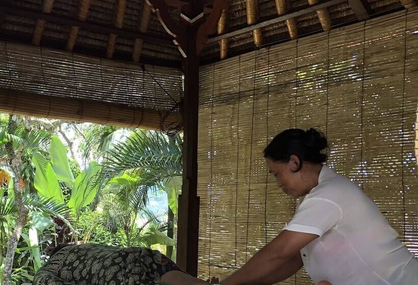 פנסיון Nirarta Center For Living Awareness