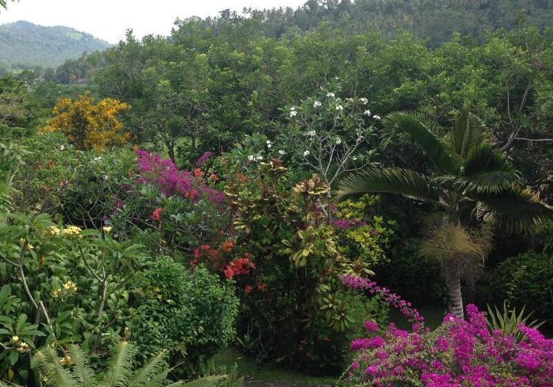 פנסיון Nirarta Center For Living Awareness