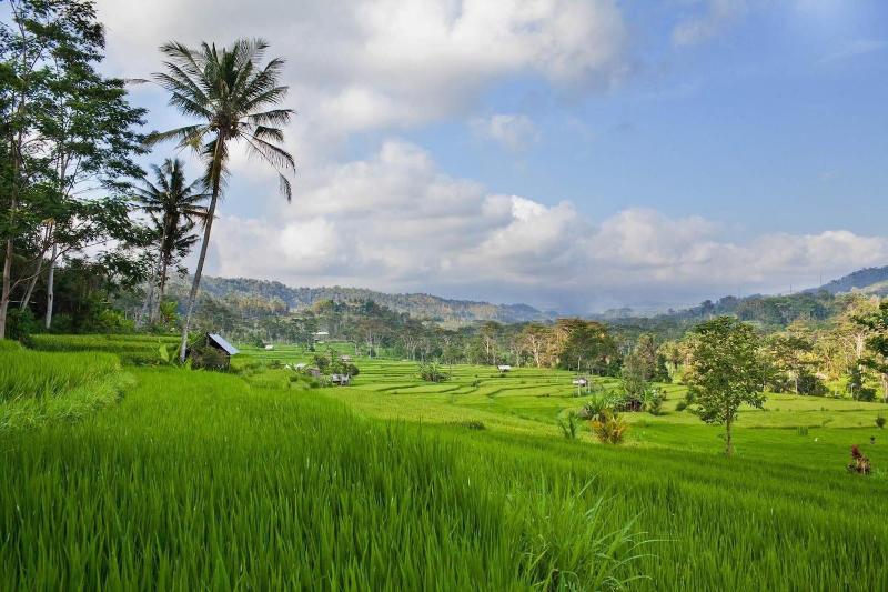 פנסיון Nirarta Center For Living Awareness