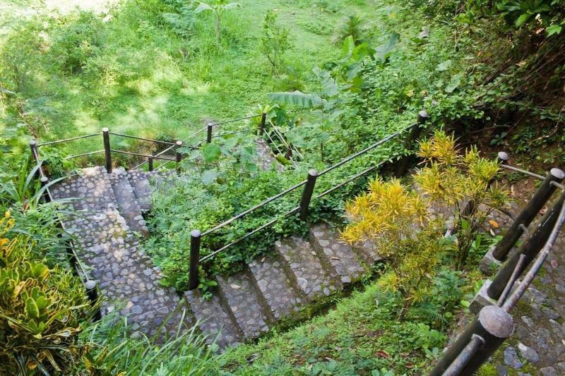 פנסיון Nirarta Center For Living Awareness