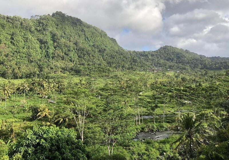 פנסיון Nirarta Center For Living Awareness