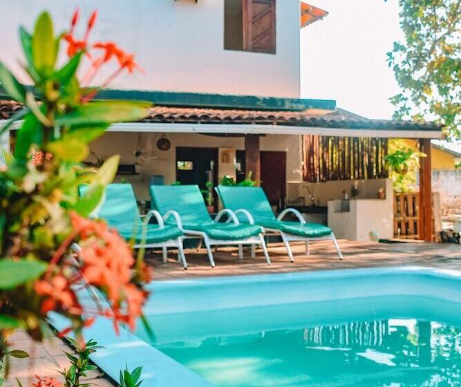 פנסיון Nirvana Pipa