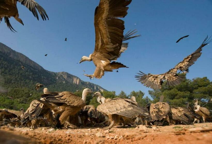 펜션 Observatorio De Aves Mas De Bunyol