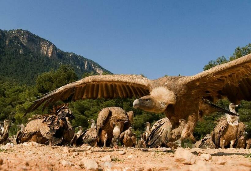 פנסיון Observatorio De Aves Mas De Bunyol