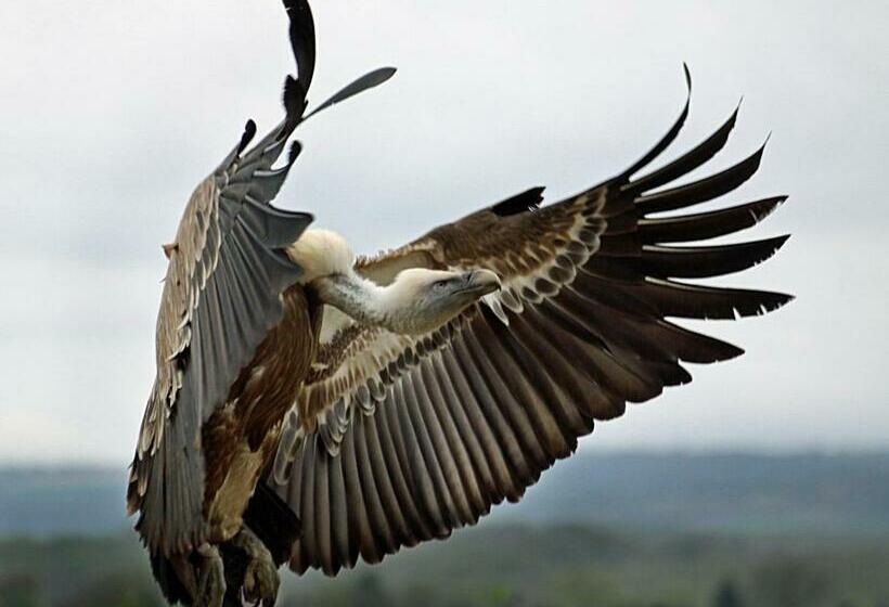 펜션 Observatorio De Aves Mas De Bunyol
