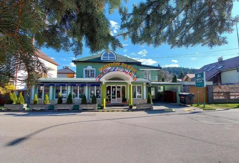 ペンション Penzion Blesk