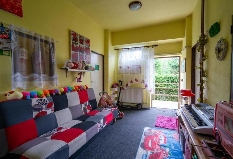 ペンション Penzion Tomy1