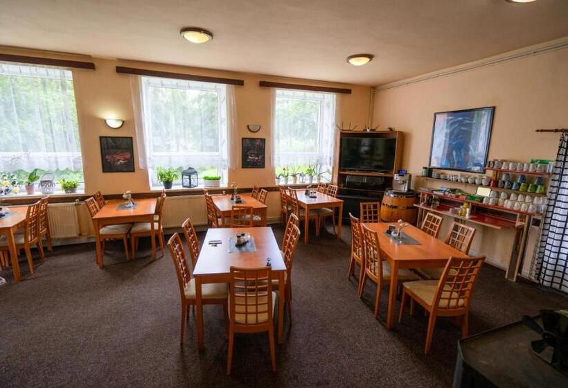 ペンション Penzion Tomy1