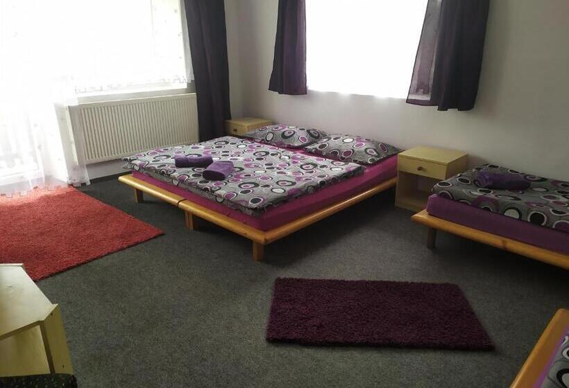 ペンション Penzion Tomy1