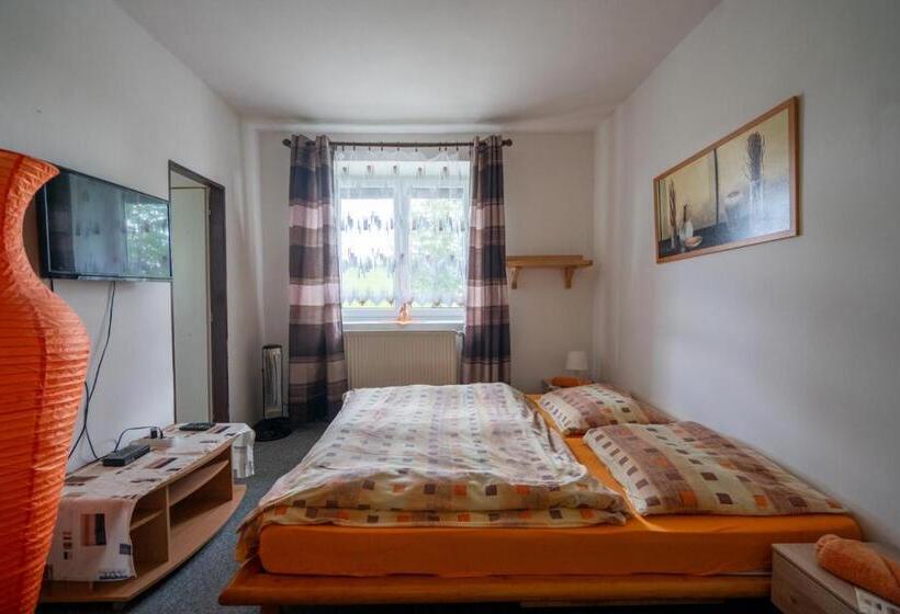 ペンション Penzion Tomy1