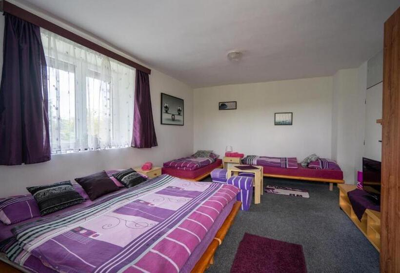 ペンション Penzion Tomy1