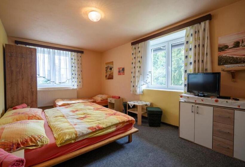 ペンション Penzion Tomy1