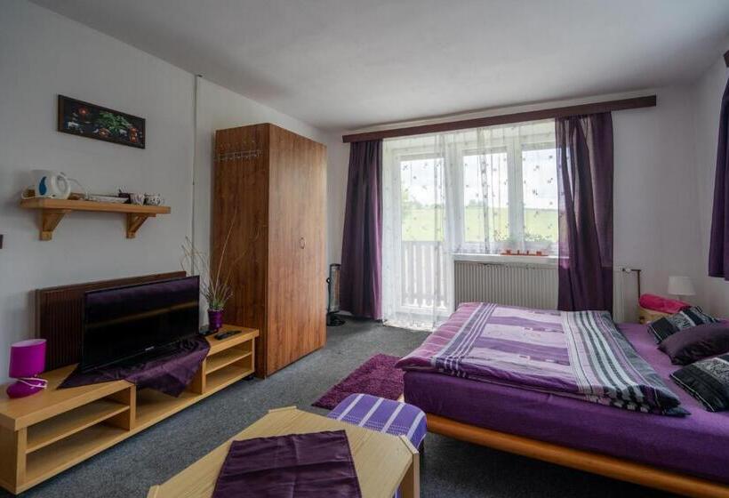 ペンション Penzion Tomy1