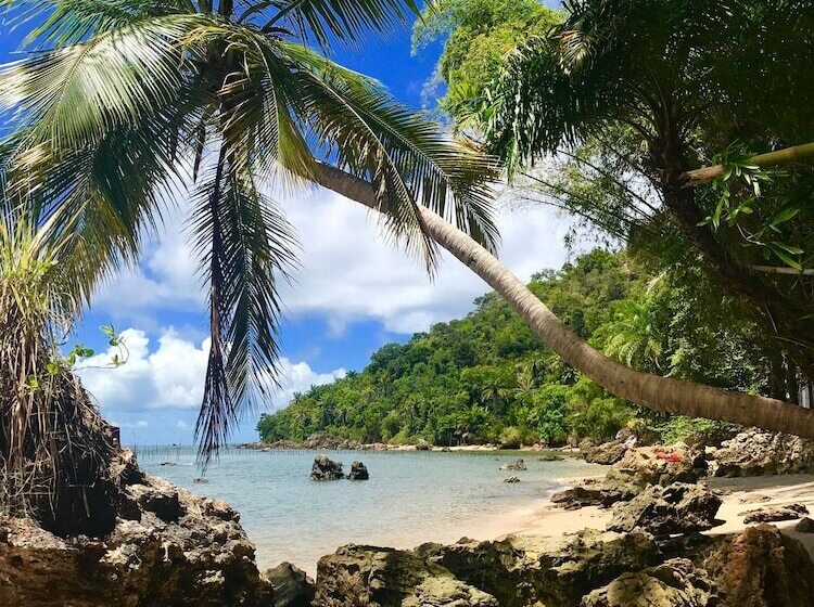 ペンション Pousada Halai