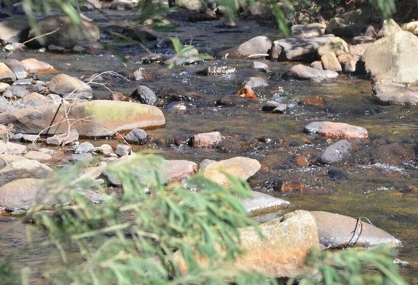 פנסיון Rocky Drift Private Nature Reserve