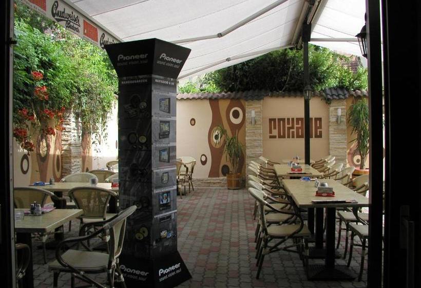 膳宿费 Roxane Panzio