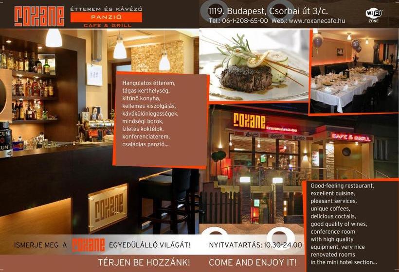 膳宿费 Roxane Panzio