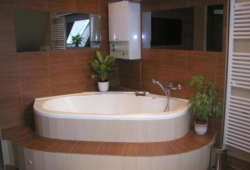 膳宿费 Roxane Panzio