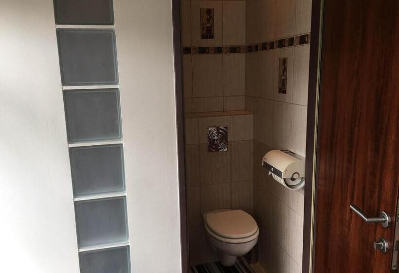 膳宿费 Roxane Panzio