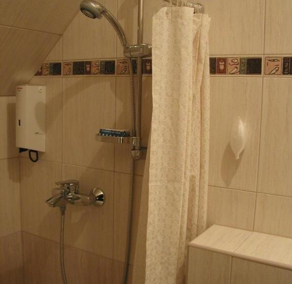 膳宿费 Roxane Panzio