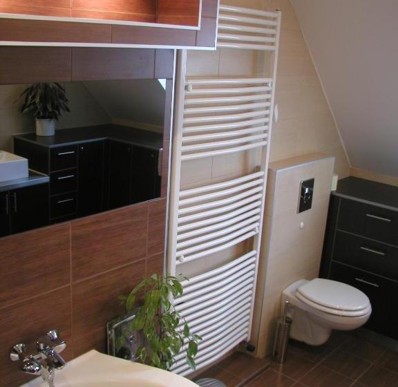 膳宿费 Roxane Panzio