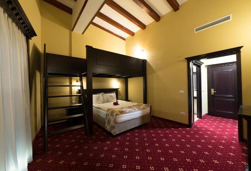 פנסיון Vila Steaua Nordului