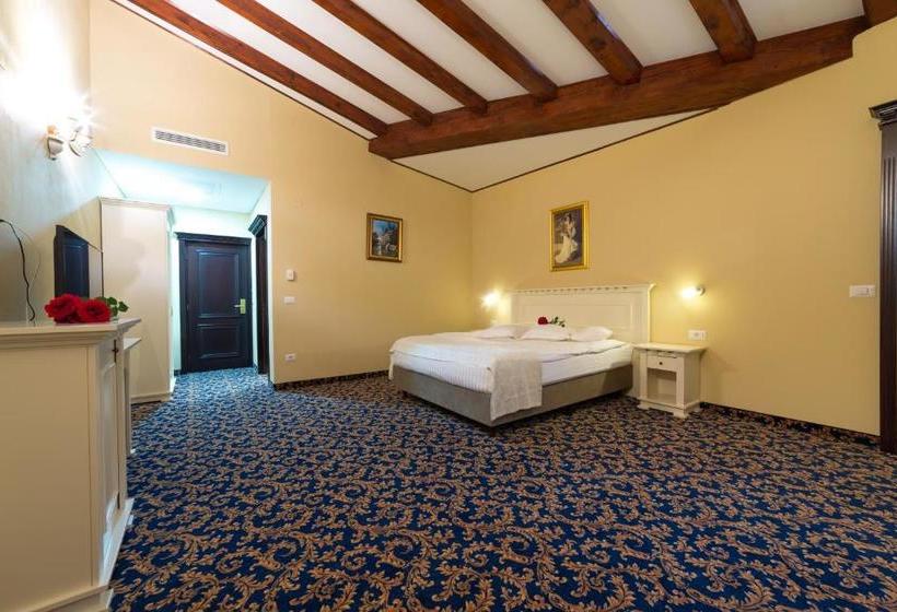 פנסיון Vila Steaua Nordului