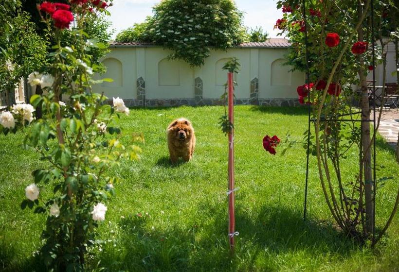 פנסיון Vila Steaua Nordului