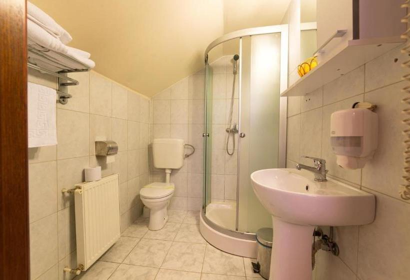 פנסיון Vila Steaua Nordului