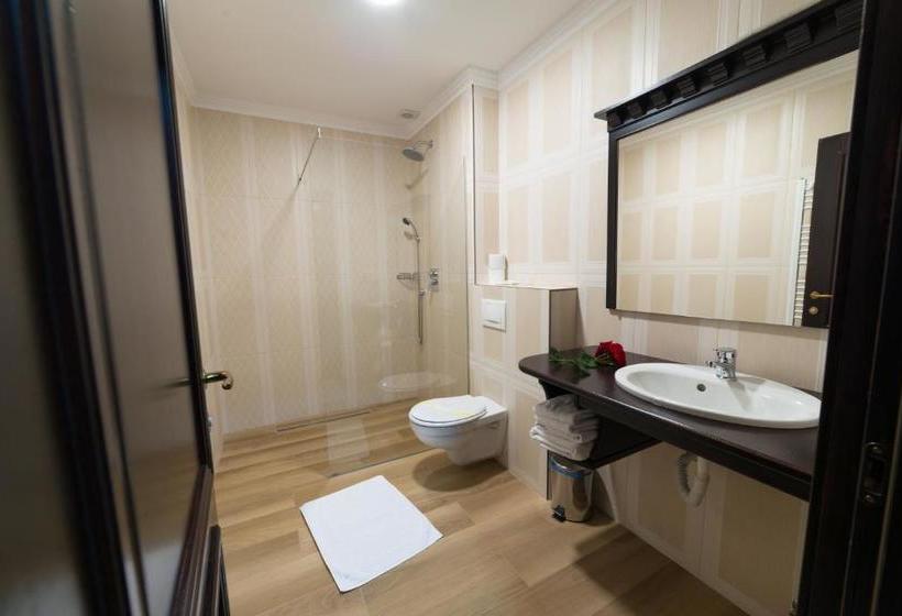 פנסיון Vila Steaua Nordului