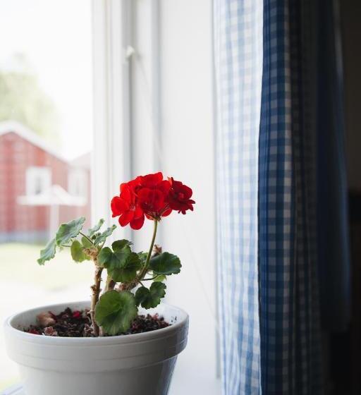 ペンション Visingsö Vandrarhem