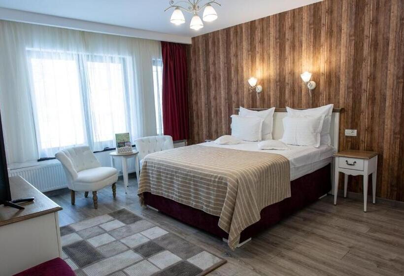 Pensiunea Carmen`s Mansion B