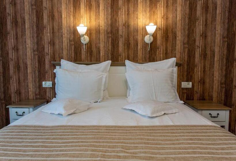 Pensiunea Carmen`s Mansion B