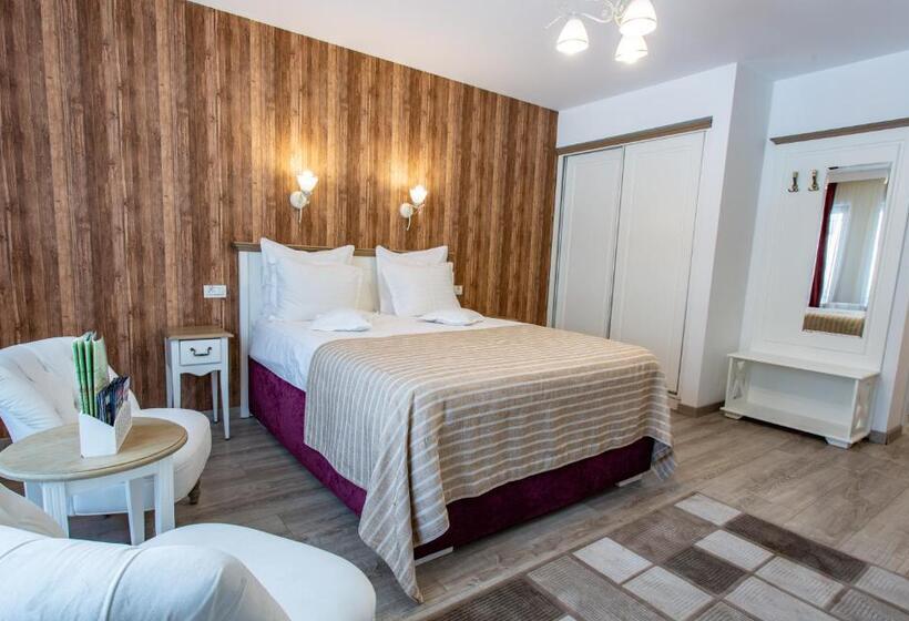 Pensiunea Carmen`s Mansion B