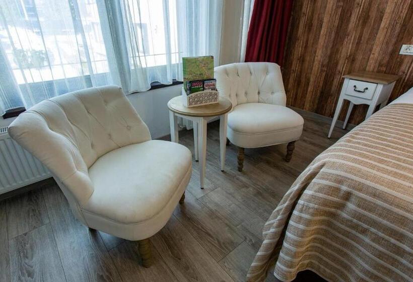 Pensiunea Carmen`s Mansion B