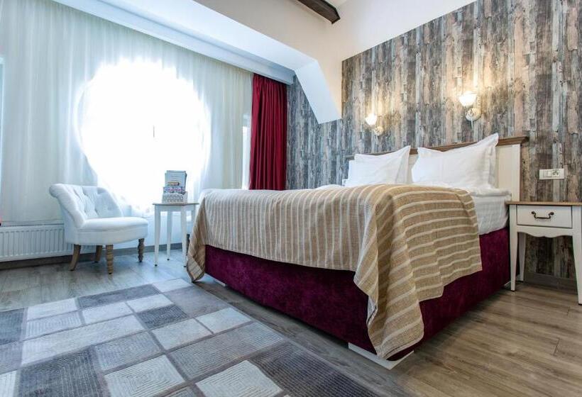 Pensiunea Carmen`s Mansion B