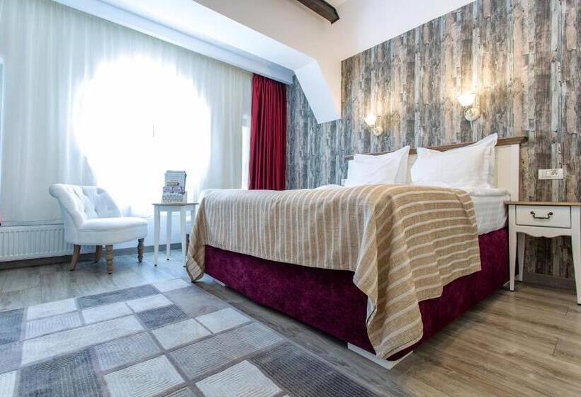 Pensiunea Carmen`s Mansion B