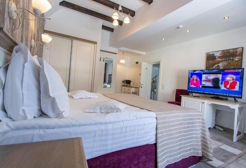 Pensiunea Carmen`s Mansion B