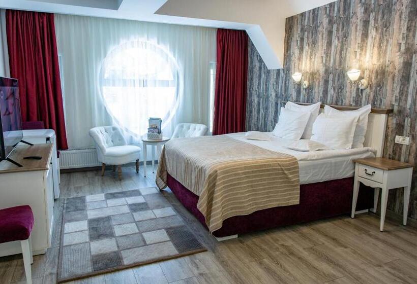 Pensiunea Carmen`s Mansion B