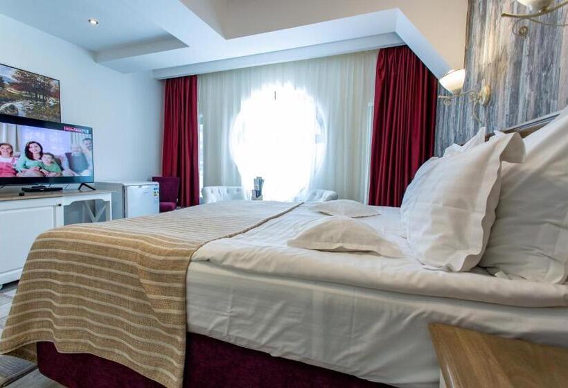 Pensiunea Carmen`s Mansion B