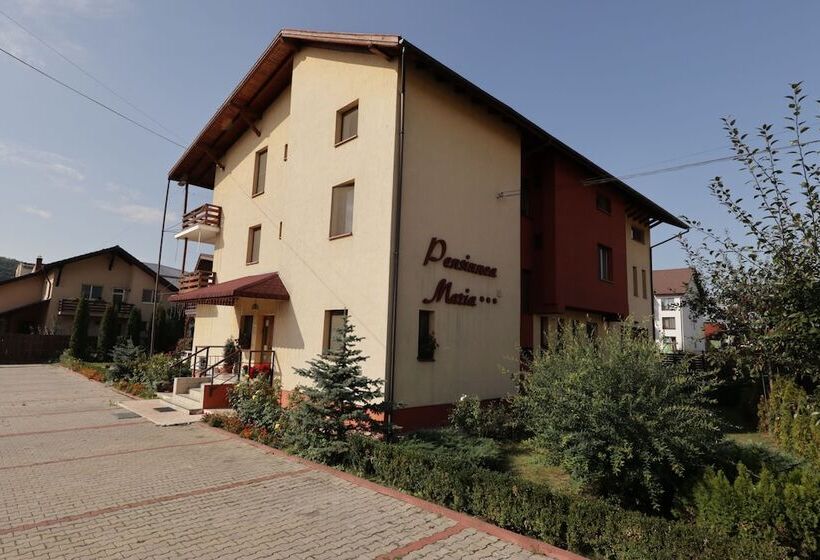 Pensiunea Maria , Floresti
