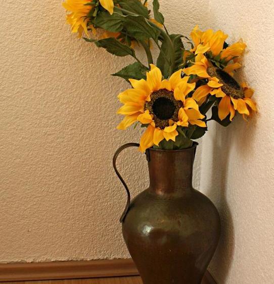 Sportpension Sonnhof