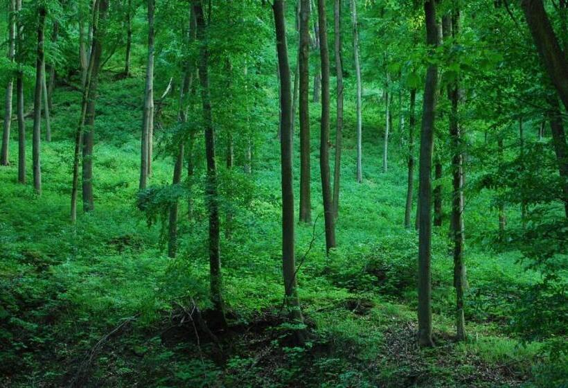 Villa Harmónia Panzió