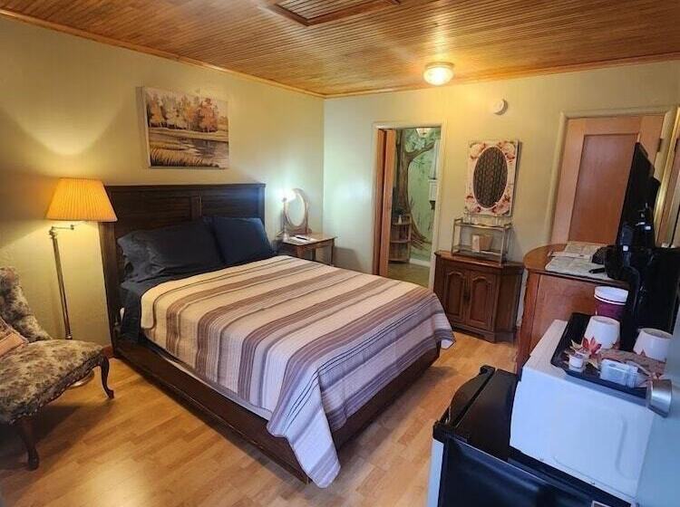 فندق صغير Buona Sera Inn