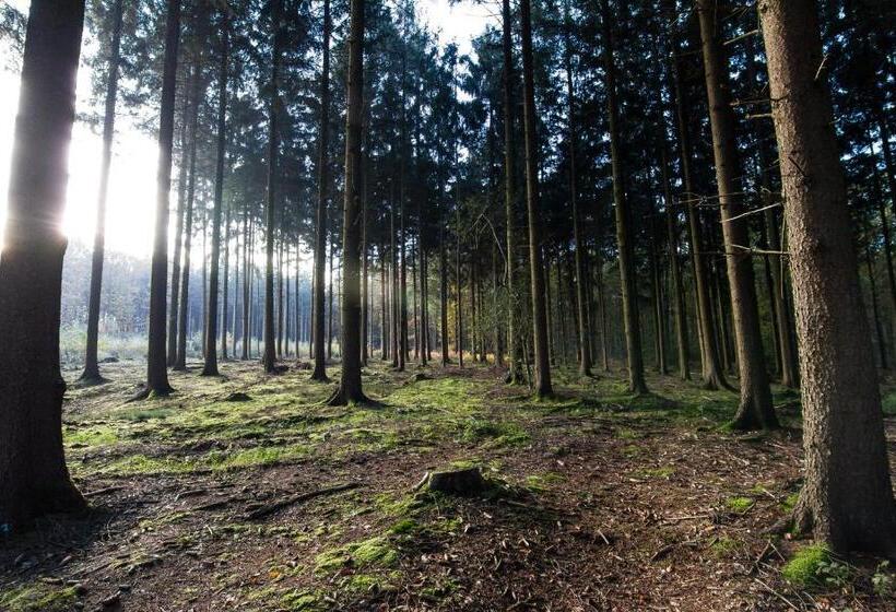 هاستل Cuba Libre