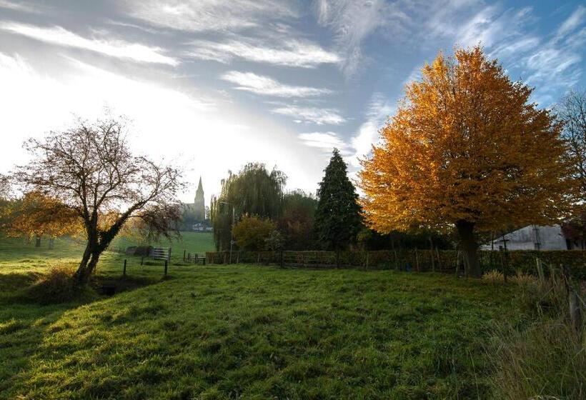 هاستل Cuba Libre