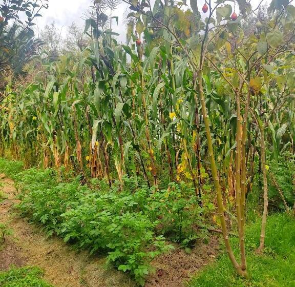 هاستل Finca San Pedro  Alojamiento Campestre Y Reserva Natural