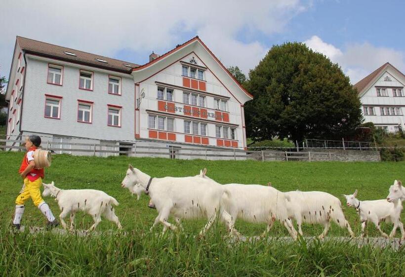 旅馆 Gasthaus Bären Schlatt