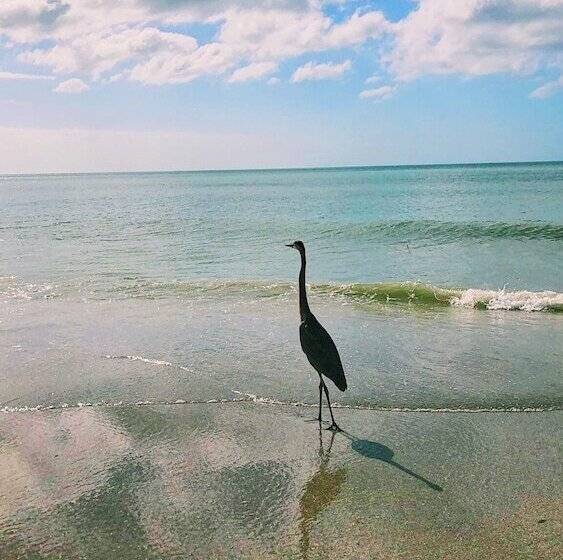 فندق صغير Holiday Isles Resort