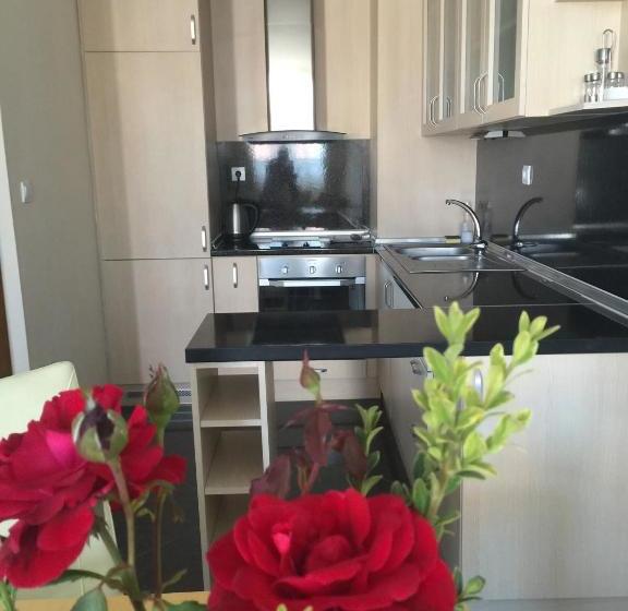 Apart Hotel Apolonia Palace